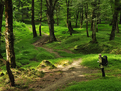 سفرهای پیش رو