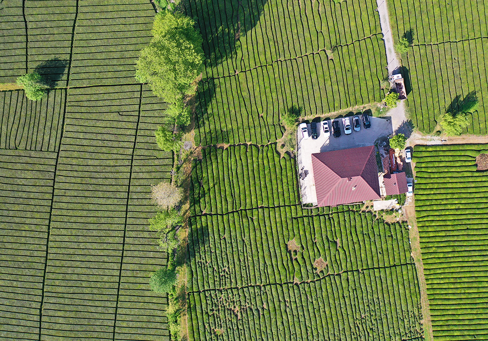 23 تا 25 مهر 1404