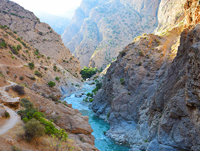 سفرهای پیش رو